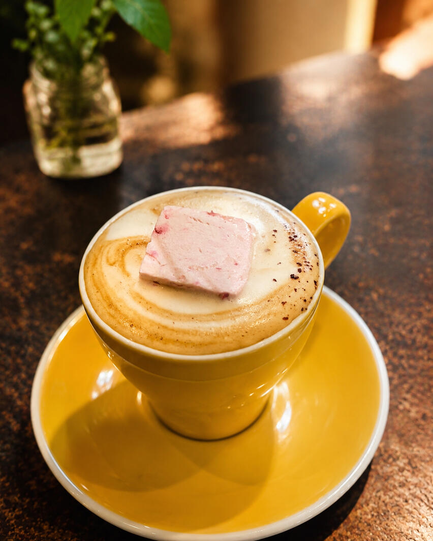 Latte, Dressed Up